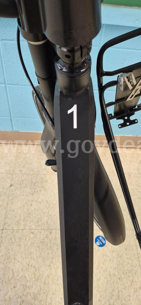 Genze Electric Bike