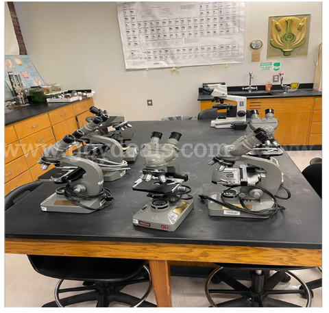 Compound Microscopes
