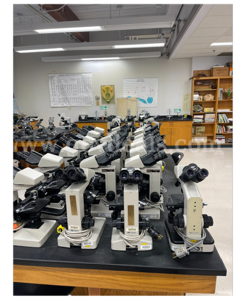 Compound Microscopes