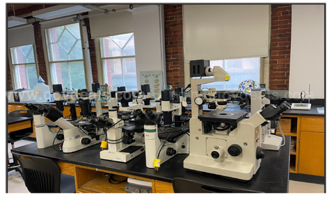 Inverted Microscopes