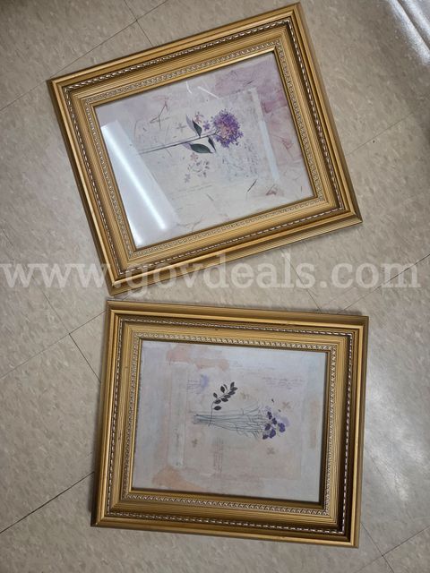 Set of 2 pictures with Gold Frames (12"x13.5")