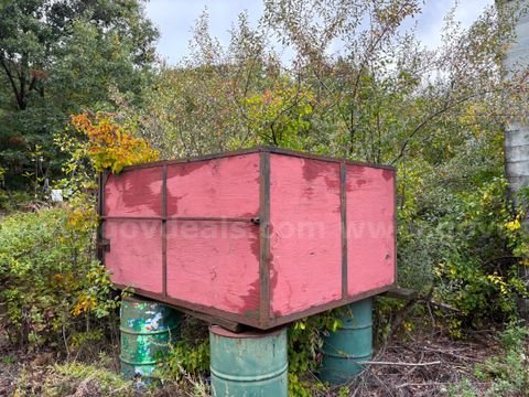 Leaf Box