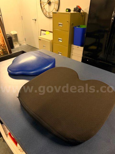 Set of 2 Chair Cushions