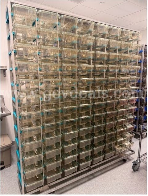 Two (2) Tecniplast Emerald EM500 Mouse IVC Rack EMM096X – Complete Rack With 96 Cages + 25 cages