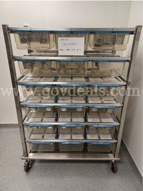 Thoren Caging Maxi-Miser #2 Rack – with 30 Complete Weaning Mouse Cages – Laboratory Vivarium