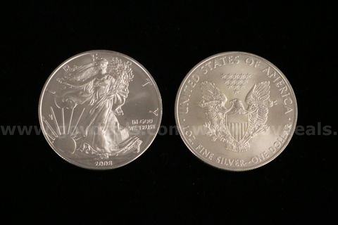 20 - 2008 U.S. Silver American Eagle Dollar Coins