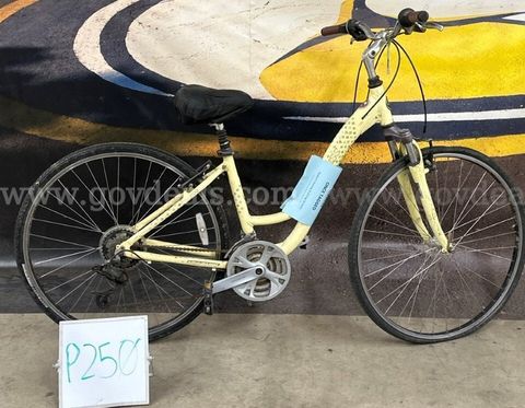 Trek Cruiser, 17-Inch Ct