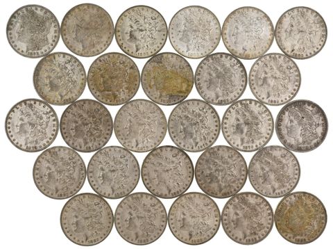 Morgan Dollar Lot 27 Pieces