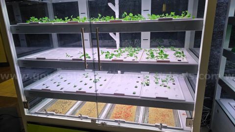 Babylon Galleri Micro Farm Units- 2 units
