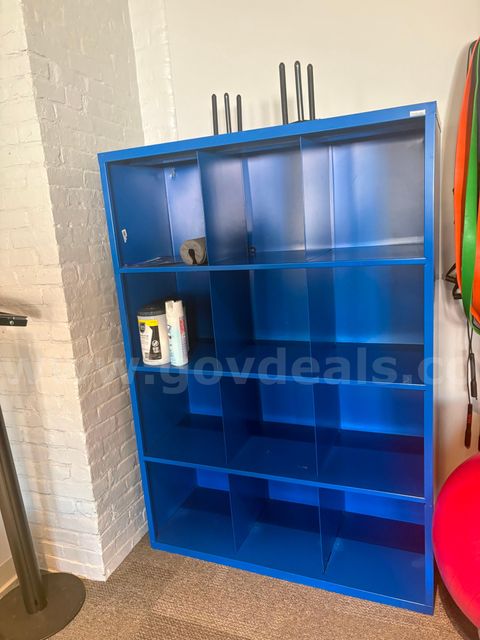 Hallowell 16-Compartment Open Steel Cubby Organizer – Royal Blue (Ex-Campus Fitness)