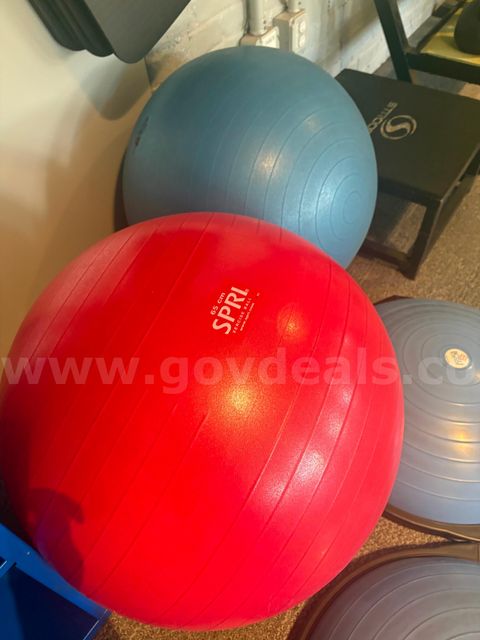 Pair of 2x SPRI Commercial 65cm Stability Balls with Floor Base Ring Stands