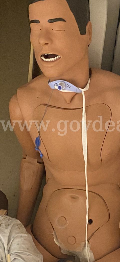 Lot of 4 Mannequins