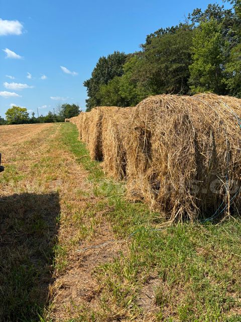 70 bales of hay