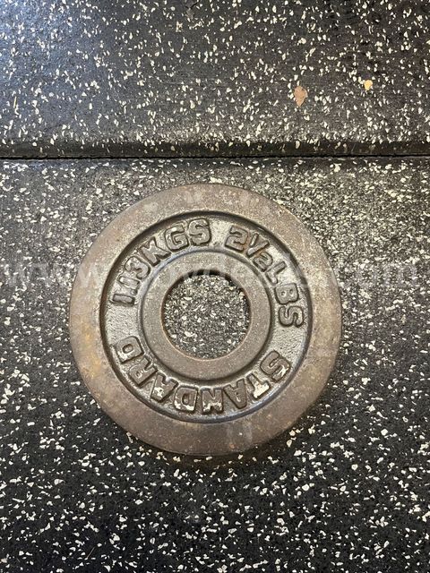Lot of Approx. (60) Various Weight Plates and Dumbbells