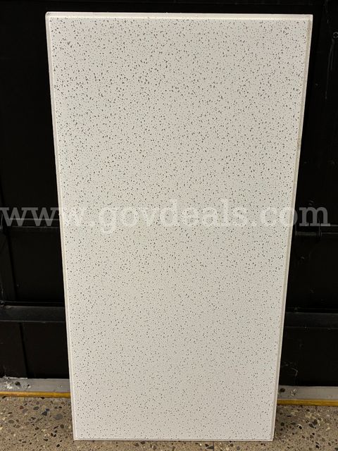 Four (4) Boxes of 2'x4' Acoustic Ceiling Tiles, plus 1 Partial Box