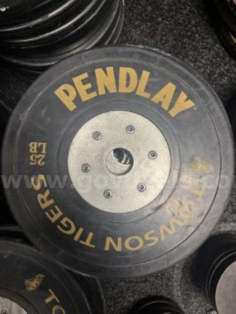 2 Pendlay 25lb Bumper Plates