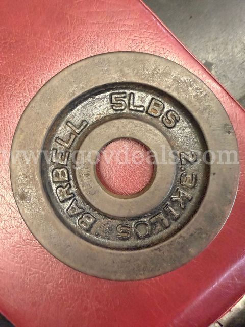 Lot Of (22) 5’s Iron Weights