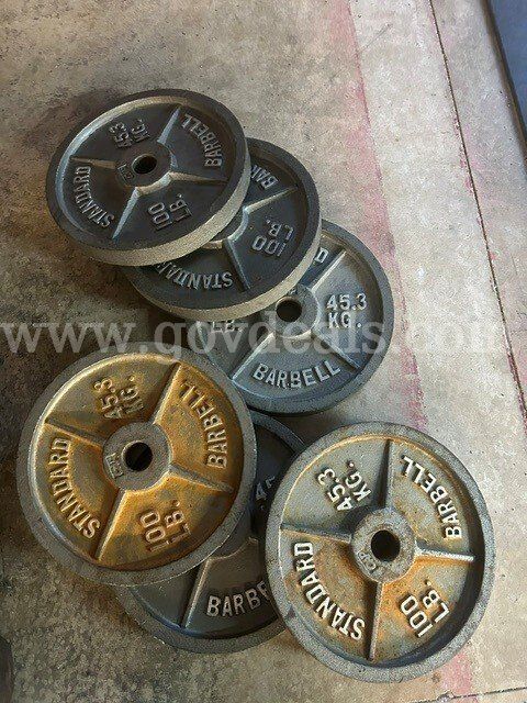 LOT of Six 100lb Plates