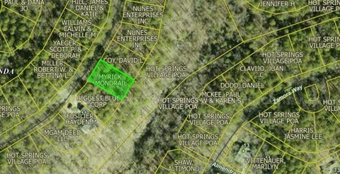 0.25 Acre Lot Arkansas (Hot Springs Village) near Lake