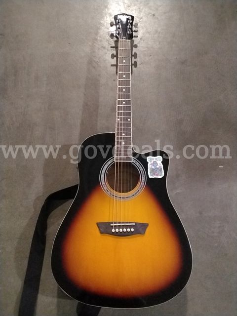Washburn Guitar