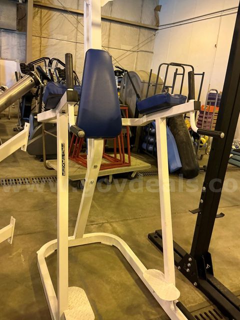 ProMaxima vertical knee raise / dip station