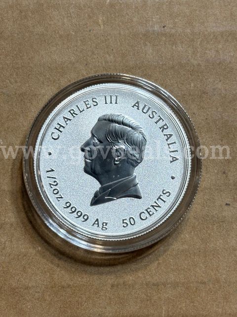 1/2 ounce .999 Silver (New) Charles/Goat