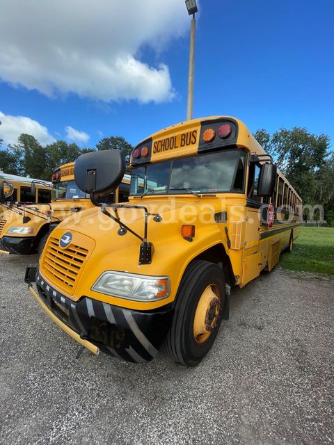2017 Blue Bird School/Transit Bus