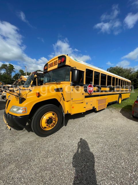 2017 Blue Bird School/Transit Bus
