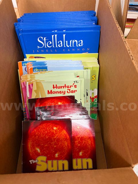 1 lot of ReadyGen books