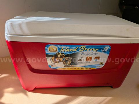 Igloo 48 quart cooler