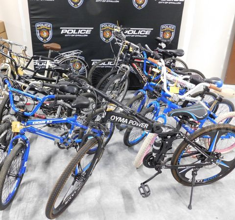 Lot of 12 Bicycles