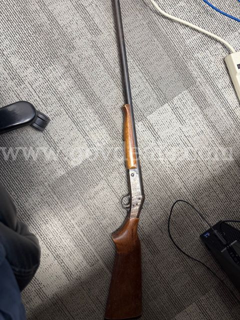 New England Firearms 12 gauge