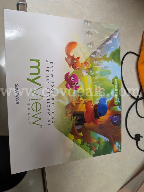 Savvas MyView workbooks