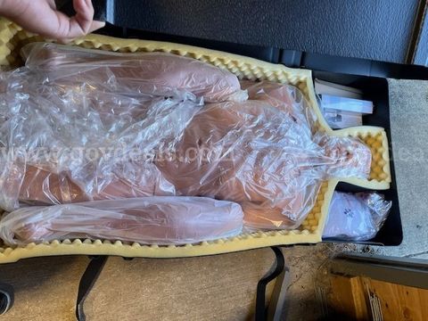 Simulaids STAT Medical Training Manikin