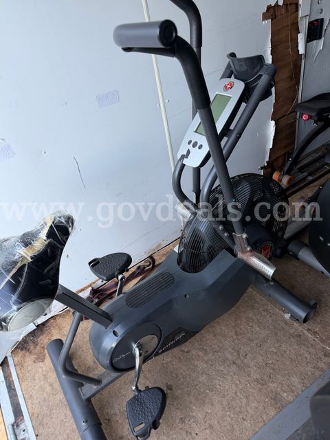 Schwinn Air Dyne