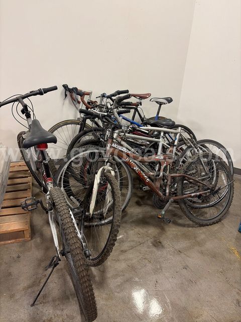 Lot of 10 Assorted Bikes