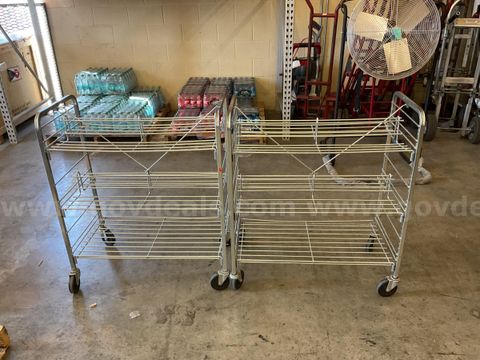 Lot of 2 Rolling Storage Racks