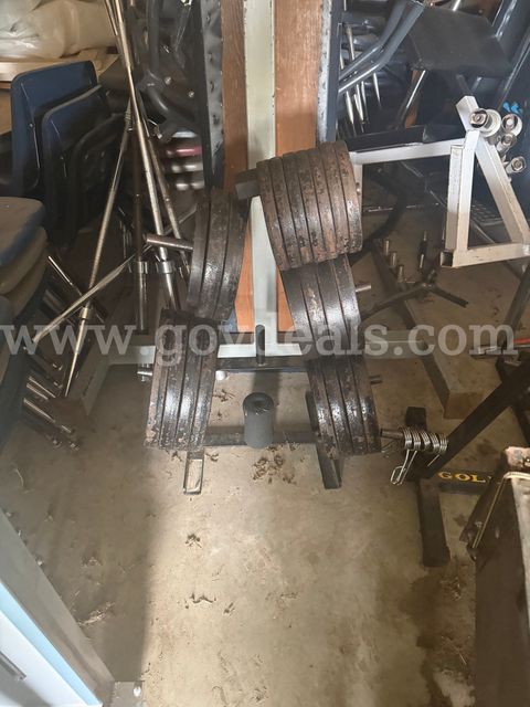 Commercial Weightlifting Equipment Lot - Weight Plates, Bars, Benches & Gym Equipment