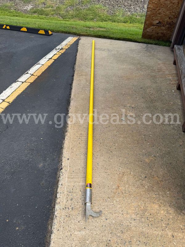 12 foot pike pole