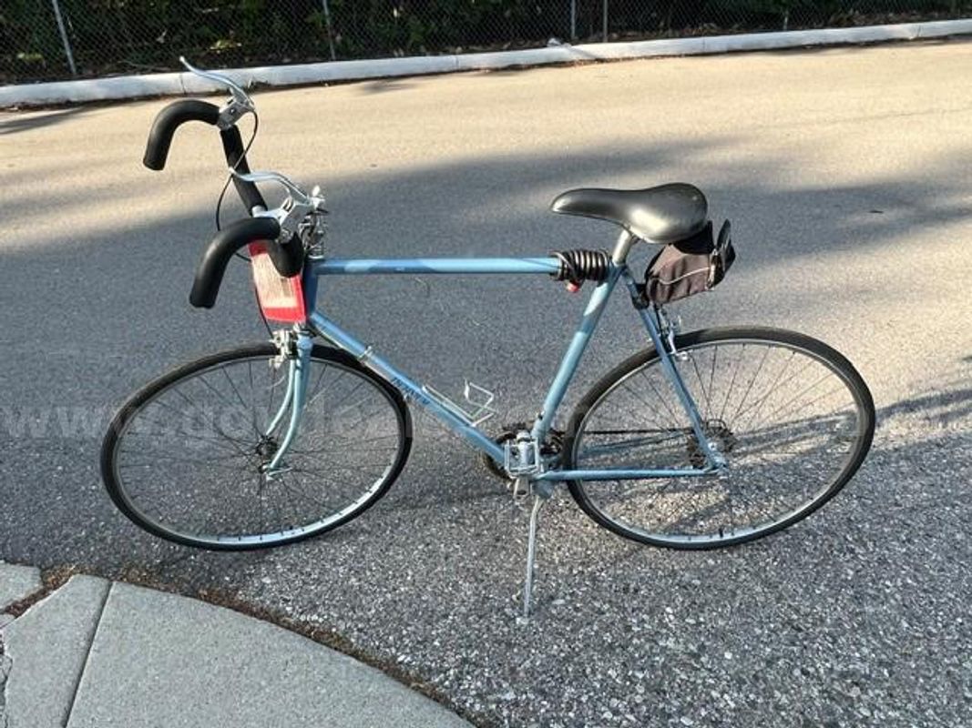 Raleigh Technium Bike