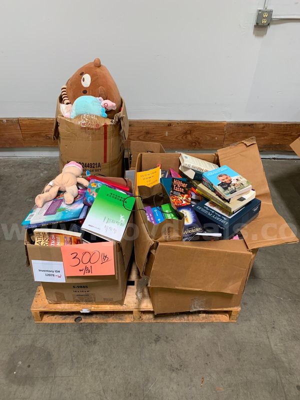 Pallet of Books and Toys