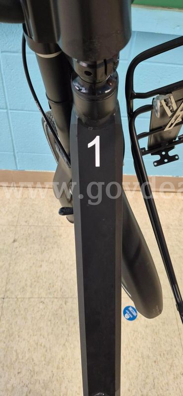 Genze Electric Bike
