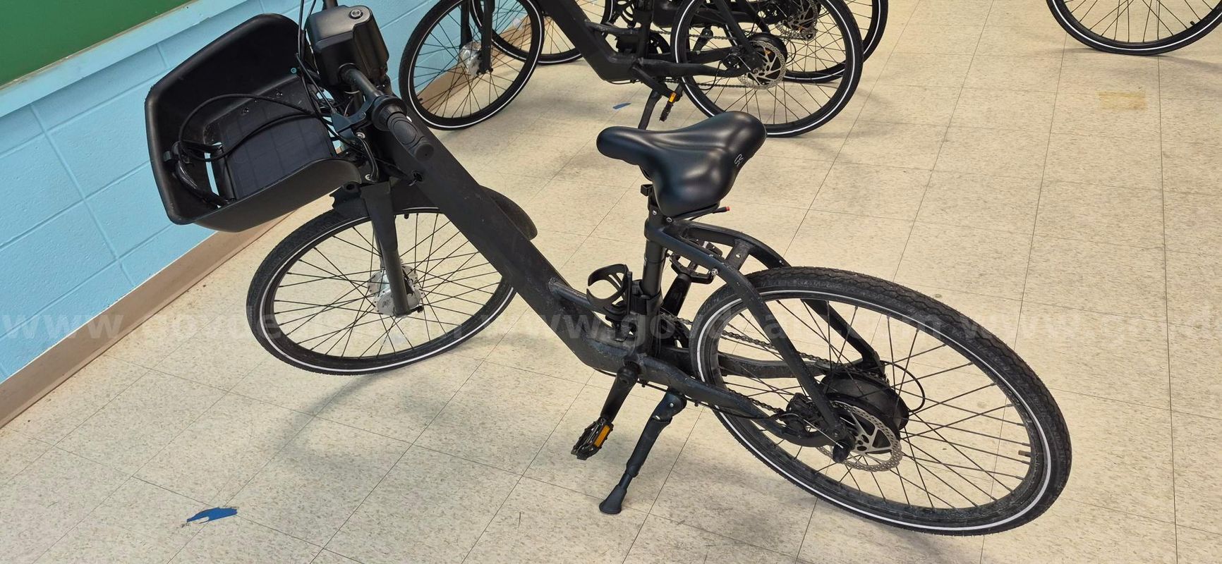 Genze Electric Bike