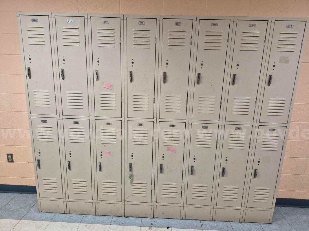 Bank Of 16 School Lockers