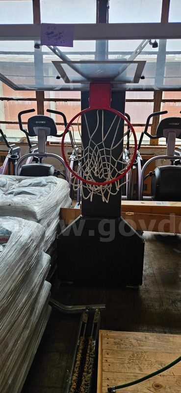 Bason Portable Indoor BasketBall Goals