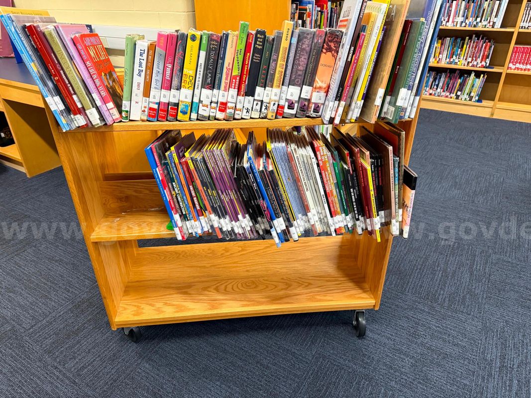 100  library books