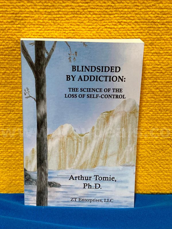 (1) Blindsided by Addiction Book