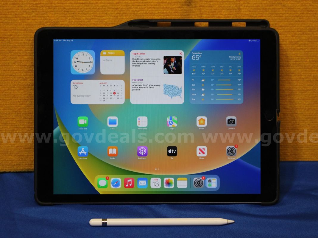 (1) Apple iPad Pro 12.9-inch (1st Gen), (1) Apple Pen (1st Gen)