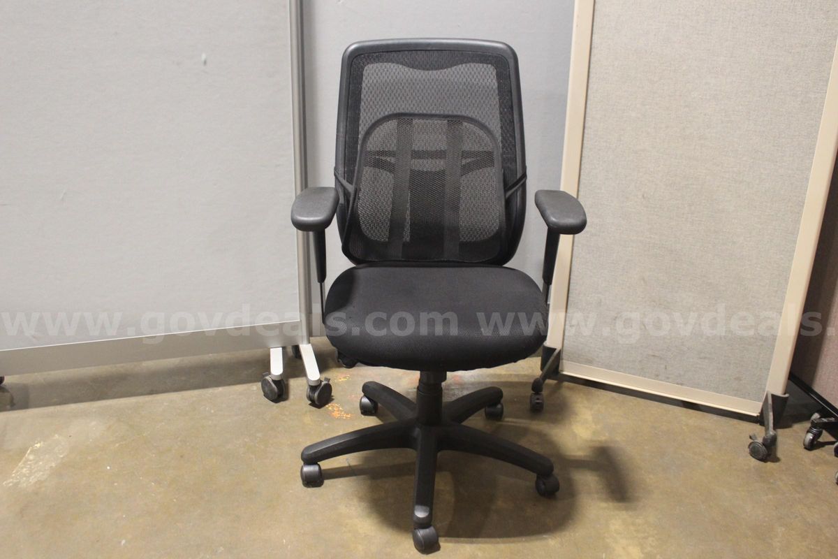 (1) Raynor Mesh Back Office Chair with Removable Back Support Piece