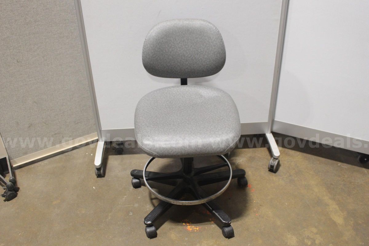 (1) Grey Lab Task Chair